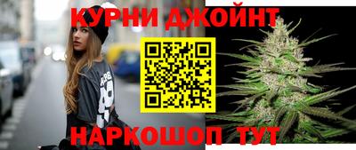 стаф Сланцы