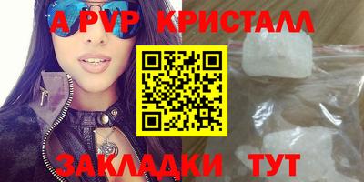 стаф Сланцы